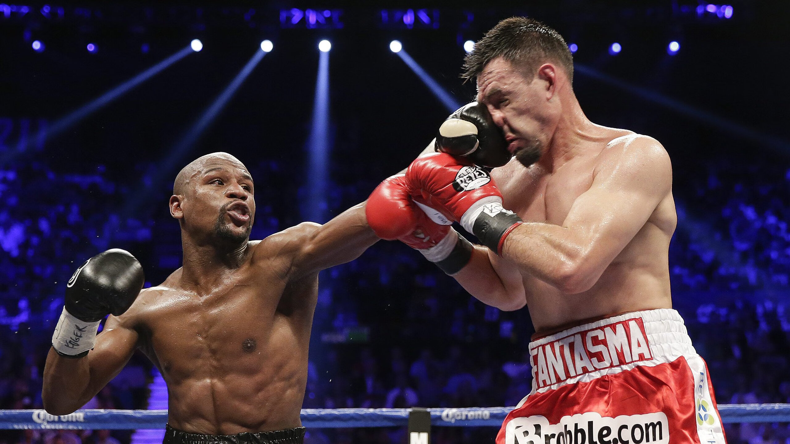 特色青训“智能化+专业化”行业深度融合，行业实力持续增强