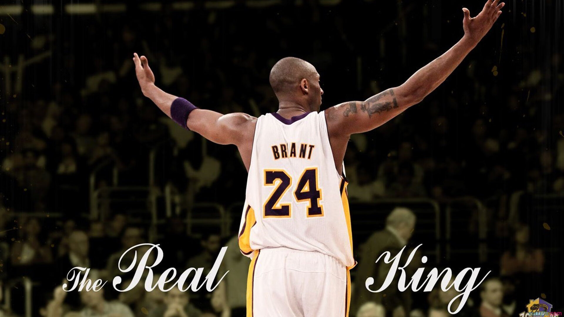 步行者继续培养新秀未来可期，步行者未来选秀权