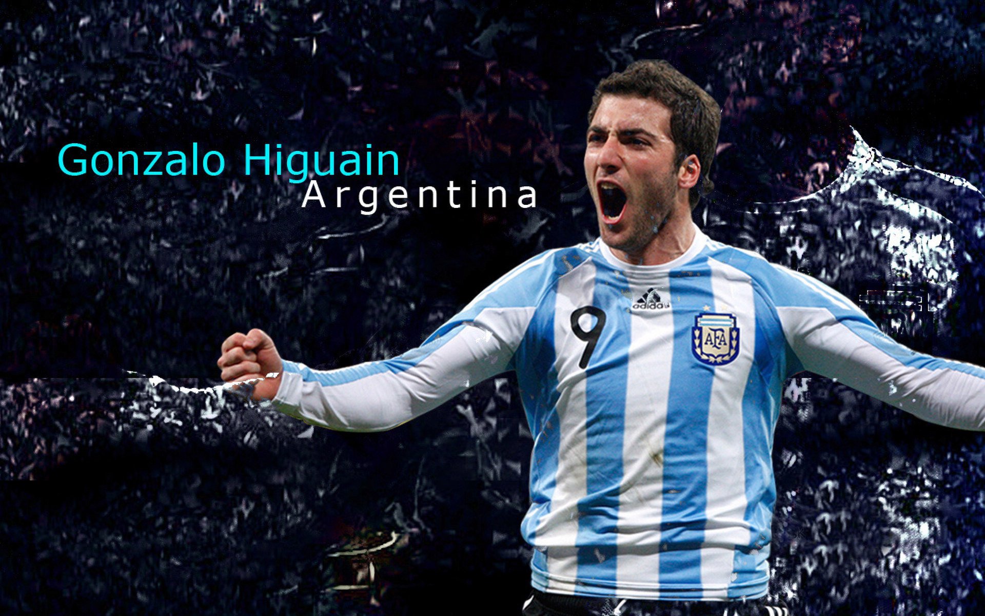 皮特·斯图斯的多面手能力帮助南非队成就辉煌时刻,皮特斯多普